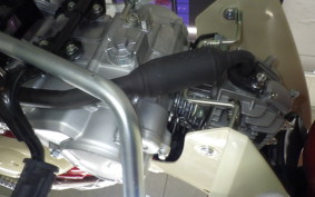 HONDA C50 SUPER CUB 2010 AA09