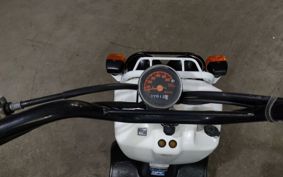 HONDA ZUMAR AF58