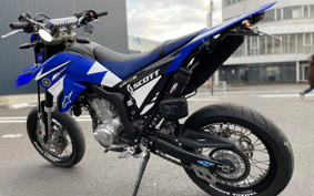 YAMAHA WR250X DG20
