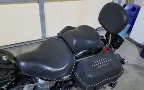HARLEY FLSTC 2006 BJY