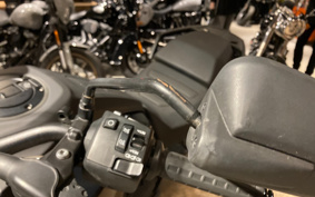 HARLEY  HARLEY  PAN  AMERICA 1250 2022 ZDS