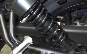 HONDA REBEL 250 2023 MC49