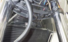 HONDA HORNET 250 2013 MC31