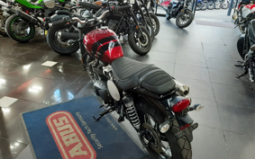 TRIUMPH  TRIUMPH  STREET  SCRAMBLER  2021 DAD78G