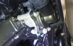 HONDA CL500 2024 PC68