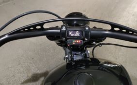 HARLEY FXBB1750 2019 YJJ