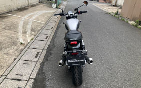 TRIUMPH SPEED TWIN 900 2025 DP0G28