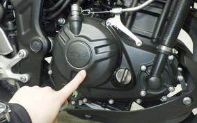 YAMAHA MT-25 A RG43J