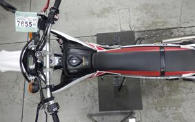 YAMAHA WR250R