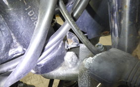 SUZUKI GRASS TRACKER 2024 NJ4BA