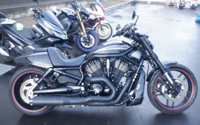 HARLEY VRSCDX1250 2017 HHH