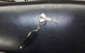 YAMAHA TW200 Gen.2 2006 DG07J