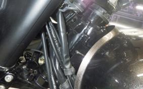 KAWASAKI W800 CAFE 2020 EJ800B