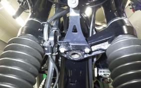 KAWASAKI W800 STREET 2021 EJ800E