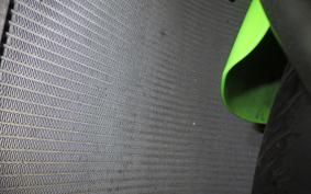 KAWASAKI NINJA ZX-6R A 2021 ZX636G