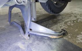 HONDA LEAD 110 2024 JF19