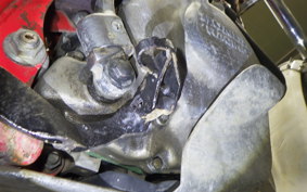 HONDA RTL250S 2009 RTL250SF