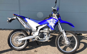 YAMAHA WR250R DG15J