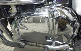 TRIUMPH BONNEVILLE T100 2014
