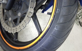 KAWASAKI NINJA 250R 2021 EX250K