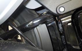 HARLEY FXLRST1920 2025