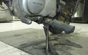 HONDA GORILLA 2020 Z50J