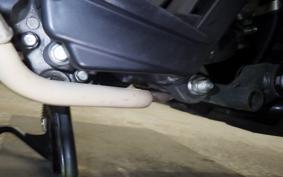 HONDA ﾀﾞﾝｸ 2024 AF74