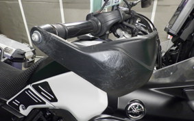 YAMAHA TENERE 700 2020 DM09J