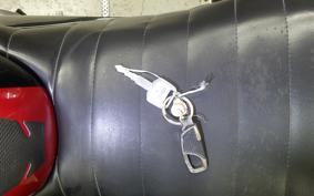 HONDA HORNET 250 2021 MC31