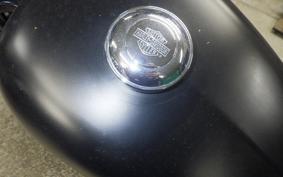 HARLEY XL883N 2019