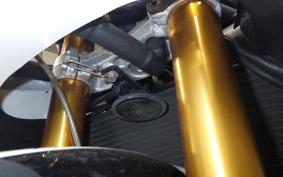 TRIUMPH DAYTONA 675 2013