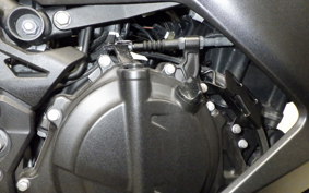 KAWASAKI NINJA 250 2 2019 EX250Y