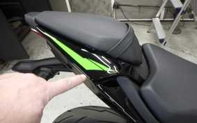 KAWASAKI NINJA ZX-6R A 2025 ZX636J