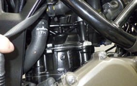 HUSQVARNA SVARTPILEN 401 2025