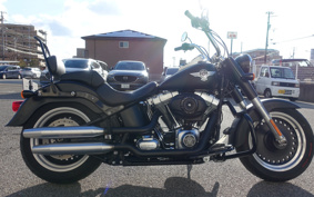 HARLEY  HARLEY FLSTFB 2012 JN5