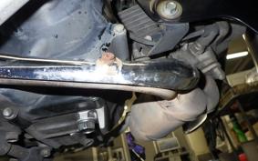 HONDA LITTLE CUB E AA01