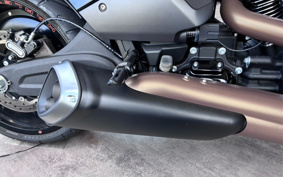 HARLEY FXDR114 2019 YVK