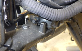 KAWASAKI W175