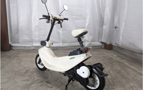 HONDA ZOOK AF26