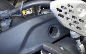 YAMAHA MT-25 2013 RG10J