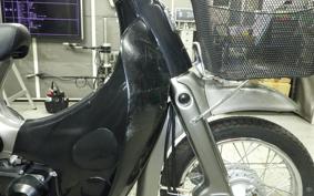 HONDA LITTLE CUB E AA01