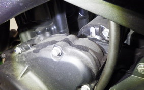 KAWASAKI NINJA 400 2024 EX400L