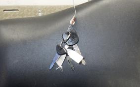 KAWASAKI NINJA 250 ABS