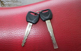 HONDA CRF250 RALLY MD44