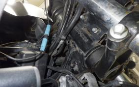 SUZUKI Vｽﾄﾛｰﾑ250 2025