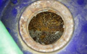 SUZUKI RGV250 Gamma 2013 VJ22A