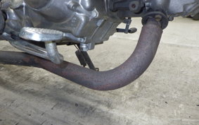 HONDA MONKEY 2020 Z50J