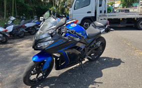 KAWASAKI NINJA 250 EX250L