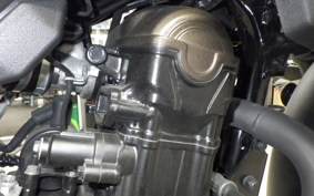 SUZUKI Vｽﾄﾛｰﾑ250SX 2015 EL11L