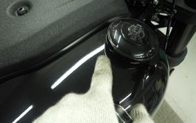 HARLEY FXLRS1920 2025